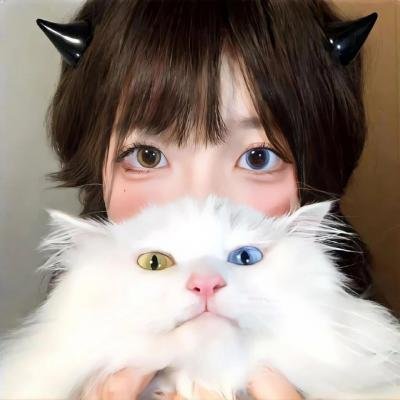 一村之长之从头再来 海报
