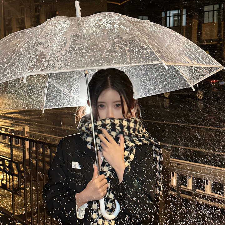 巴黎夜生活 海报
